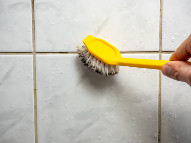 Best Emergency Mold Removal  in Hewitt, TX