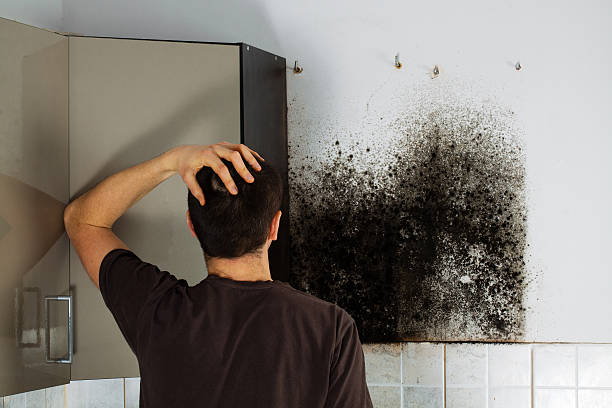 Best Mold Testing  in Hewitt, TX