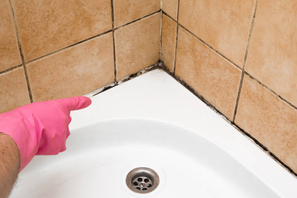 Best Local Mold Removal Service  in Hewitt, TX